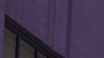 El encendido del árbol de Rockefeller Center es una tradición en Nueva York.