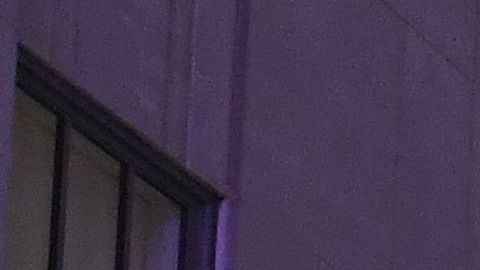 El encendido del árbol de Rockefeller Center es una tradición en Nueva York.