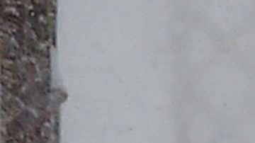 Se espera un duro invierno.