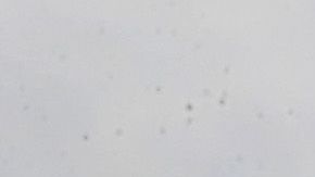 El hombre que resultó herido 14 veces fue llevado al Hospital Stroger, donde fue declarado muerto.