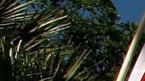 Octubre, mes de la herencia hispana en EEUU.