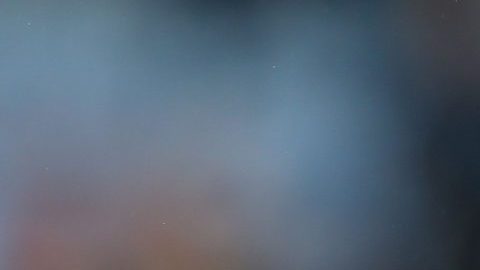 Frank de Boer opinó sobre las habilidades de Edson Álvarez.