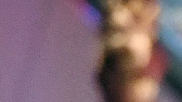 Murieron 58 personas en el ataque.