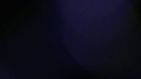 Walt Harris ofreció una recompensa de $5 mil dólares después de que su hijastra de fue reportada como desaparecida.