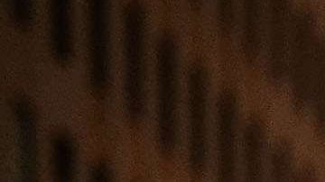 La ciudad busca acabar con la discriminación hacia inmigrantes.