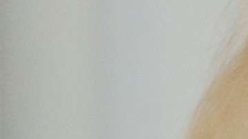 Donald Trump y Vladimir Putin.