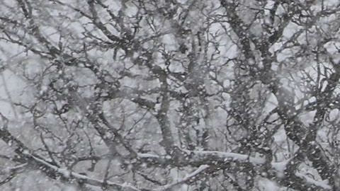 Illinois será una de las entidades más afectadas.