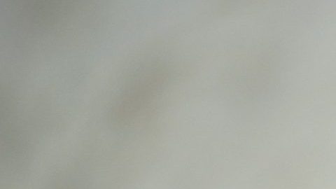 Ivanka Trump acusa que hay 'espías' y 'enemigos' entorno a su padre.