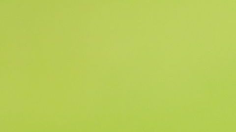 El técnico es candidato a dirigir a los Rayados