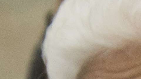 Ftografía de archivo de una de las múltiples muestras de apoyo a los jóvenes "soñadores".