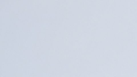 El presidente celebró el fallo a su favor.