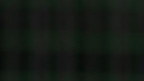 El tricolor debutará en el torneo ante Bermudas.