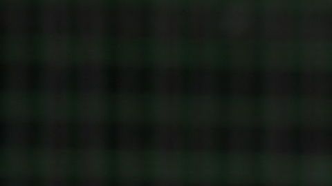 El tricolor debutará en el torneo ante Bermudas.