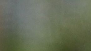 Trump subió los aranceles al acero turco en represalia a la ofensiva del país contra los kurdos.