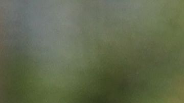 Trump subió los aranceles al acero turco en represalia a la ofensiva del país contra los kurdos.