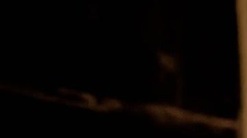 gift-habeshaw-ozVgt2BkKQE-unsplash