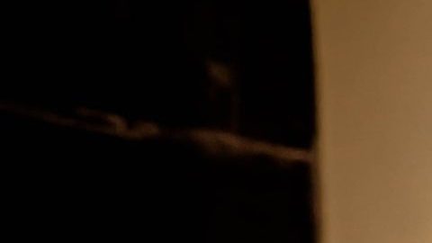 gift-habeshaw-ozVgt2BkKQE-unsplash