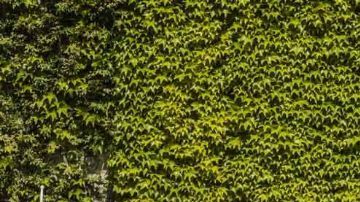 GranTurismo18-exterior-side-gallery