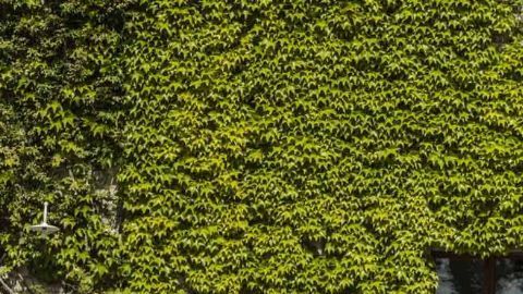 GranTurismo18-exterior-side-gallery