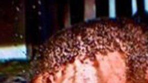 Foto que acompaña a la petición de cierre de Mckamey Manor