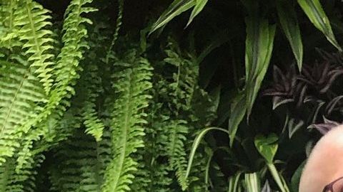 Nitza y Héctor encontraron un hogar temporal, lejos del hogar.