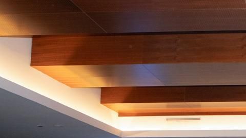 Las jugadoras del Fútbol femenino en España anunciaron que se irán a huelga por la desigualdad de contratos y condiciones.