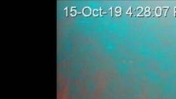 Imágenes del fondo del mar Mediterráneo.