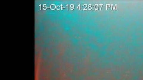 Imágenes del fondo del mar Mediterráneo.