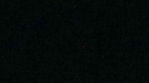 La Parka sufrió grave accidente en plena función.