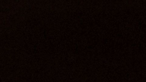 La Parka se encuentra estable, pero se desconoce si podrá volver al cuadrilátero.