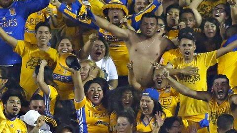 La directiva felina pidió ayuda a su mejor aliado: su afición.