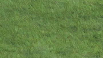 El técnico aun no ha podido arreglarse con el Monterrey.