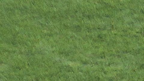 El técnico aun no ha podido arreglarse con el Monterrey.