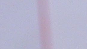 Earthquakes salió a desmentir los rumores.