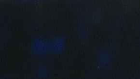 Golovkin explotó por preguntas sobre "Canelo" Álvarez.