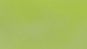 Ricardo Peláez interesa demasiado en Chivas.