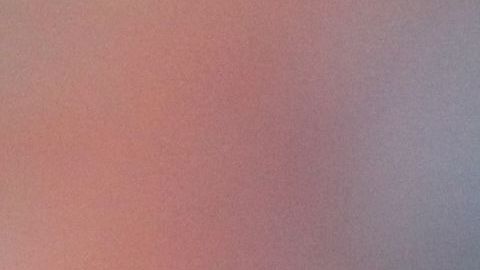 El jugador se inscribió voluntariamente en el programa de la MLS.