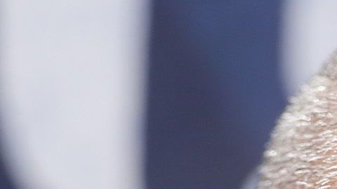 ‘Chelis’ reveló que hay periodistas que ofrecen jugadores a los clubes para obtener dinero.