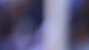 Los Gallos Blancos del Querétaro, un equipo modesto pero con gran funcionamiento colectivo.