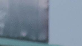 El plantel de los 'Tiburones' solicitaron ayuda en redes sociales.