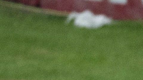 Los Diablos Rojos clasificaron a octavos de final de la Copa MX.