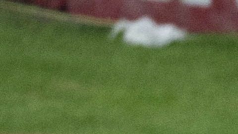 Los Diablos Rojos clasificaron a octavos de final de la Copa MX.