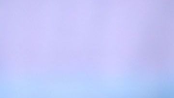 Miguel 'Piojo' Herrera vive su peor momento con América.