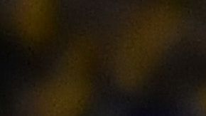 La liga francesa se burló haciendo referencia a las críticas que ha recibido Gignac.