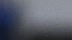 Roger Martínez seguirá ausentándose en Coapa.