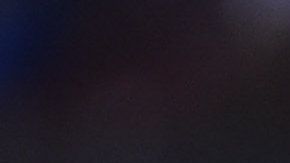 Esta semana no hubo que pensarle mucho y el Tronco de la Semana será un reconocimiento colectivo para todos los jugadores del América.