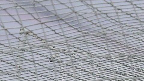 Cruz Azul nunca le había marcado cinco goles a América.