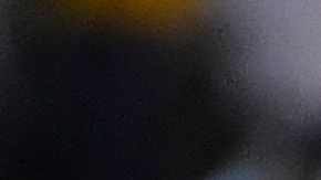 Los felinos tenían partidos programados en la fecha FIFA.