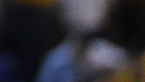 Los felinos tenían partidos programados en la fecha FIFA.