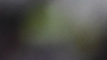 cha

La jornada 15 del Apertura 2019 continúa este sábado.